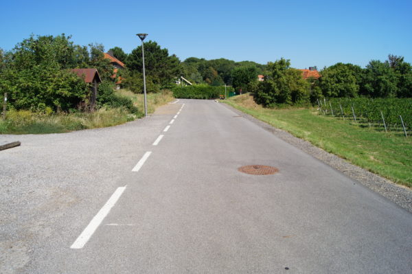 Am Steinriegel (Maria Enzersdorf)