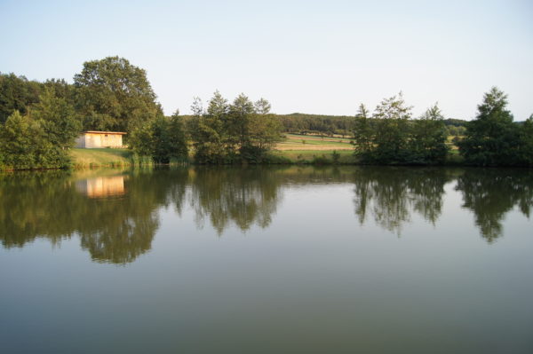Rückhaltebecken in Natschbach/Loipersbach